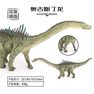 仿真实心恐龙模型白垩纪奥古斯丁龙科教认知儿童玩具玩偶摆件