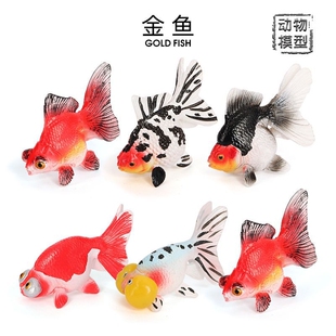 仿真金鱼模型鹤顶红水泡眼鎏金白望天摆件实心动物儿童认知玩具