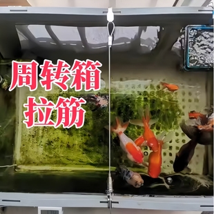 周转箱拉筋条养殖箱鱼缸防变形钢丝养鱼养龟塑料饲养箱定位拉力绳