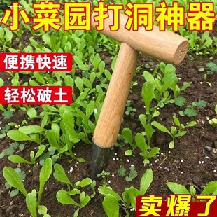 移苗神器种菜播种打孔器家打洞工具家用园艺花园多肉种苗泥土专用