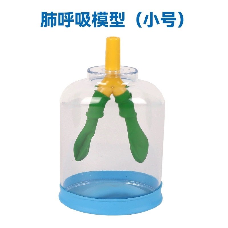 儿童益智手工科学小实验物理科技手工制作肺部呼吸模型材料6-8岁