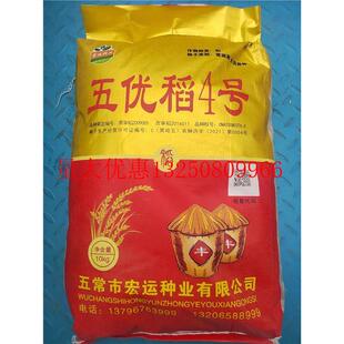 五优稻4号粳稻种子常规性水稻种子抗病高产北方稻谷种子春季播种