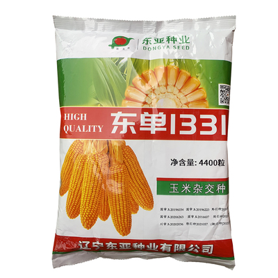 东单1331国审高产玉米种子大棒抗旱耐涝抗盐碱适广性强密植玉米孑