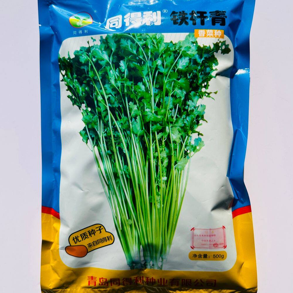 同得利铁杆青香菜种子 抗热香味浓芫荽种籽 农家春夏秋季播蔬菜种
