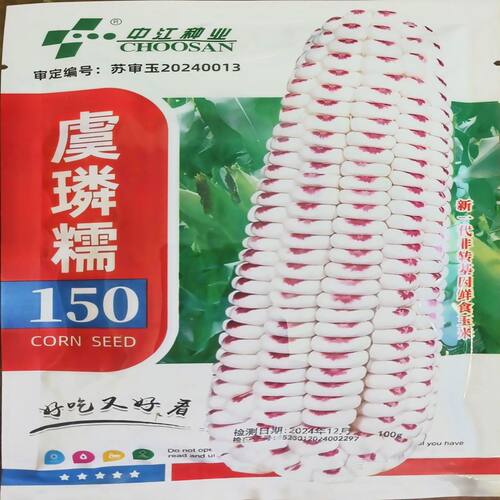 虞璘糯150玉米种子大棒鲜食一点红玉美人玉米种籽非转基因糯玉米