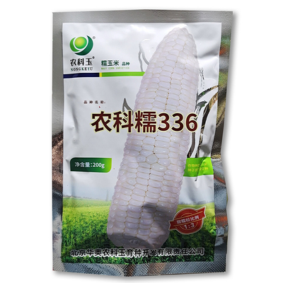 农科糯336 白甜糯玉米种子国审鲜食玉米甜糯粒1比3大田用玉米种孑
