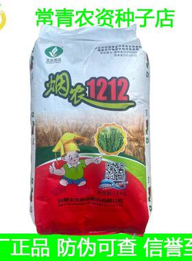 国审烟农1212小麦种子原装正品高产稳产抗冻耐寒抗倒抗病优质麦种