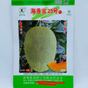 甘甜香脆含糖度高 甜瓜籽 新疆哈密瓜种子海香蜜25号 新疆网纹瓜