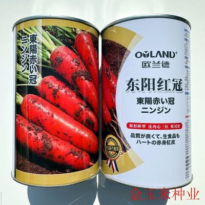 欧兰德东阳红冠杂交胡萝卜种籽皮肉心三红胡萝卜种子大田基地播种