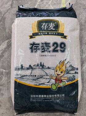【20斤装丰德存麦29】小麦种子国审种籽原装正品高产抗倒抗病优质
