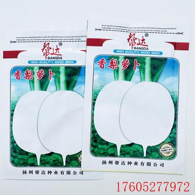 表皮高产香梨皮肉生食皆整齐外叶种子质脆熟食萝卜白色甜宜味光滑