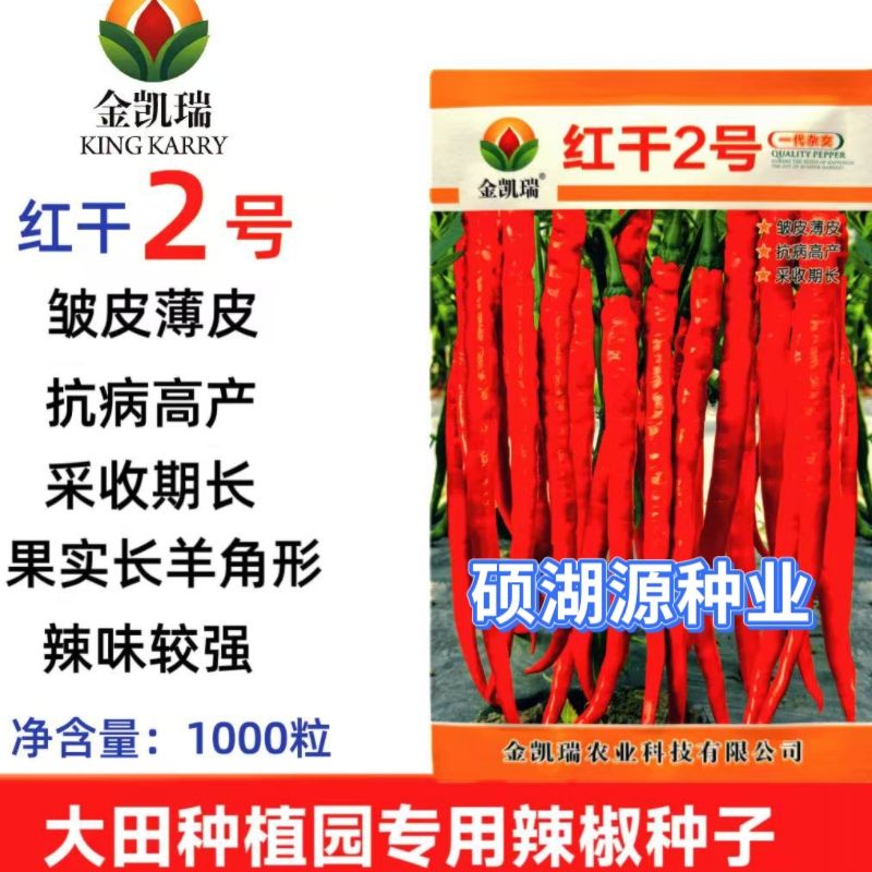 金凯瑞红干2号长线椒种子皱皮薄皮味辣高产早熟干鲜两用辣椒 种籽