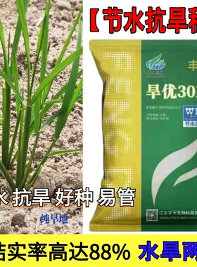 旱优3015旱稻种子节水抗旱稻谷种优质杂交中稻生育期111.7天正品