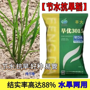 旱优3015旱稻种子节水抗旱稻谷种优质杂交中稻生育期111.7天正品