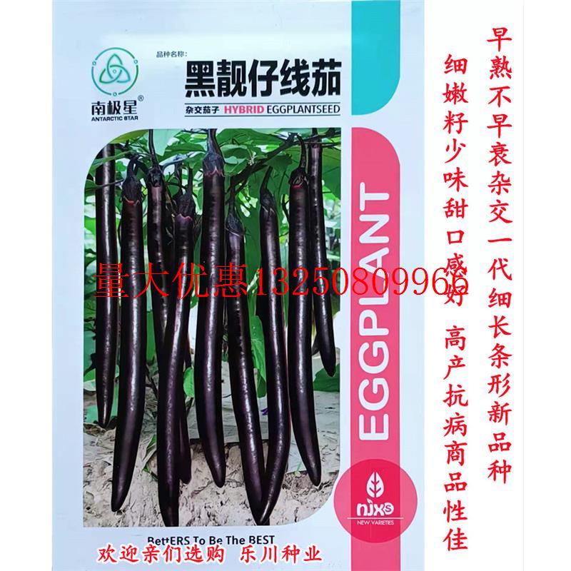 黑靓仔线茄种子紫黑长茄子籽一代杂交新品种高产南北方春秋播精选