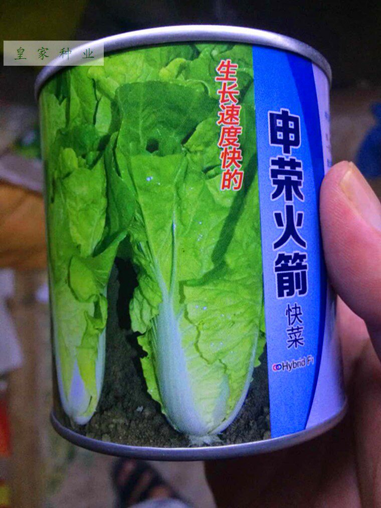 快菜种子申荣火箭快菜种子速生菜种子小白菜种子毛毛菜种子100克