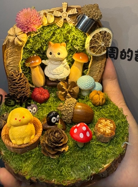 成品果壳立体场景DIY手工小夜灯桌面摆件森系疗愈系送礼物
