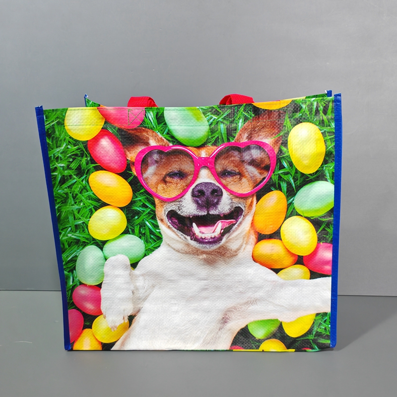 特价外贸大容量防水编织袋环保袋手提袋超市购物袋收纳袋单肩包