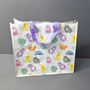 外贸单大容量小清新防水编织覆膜购物袋环保超市手提袋收纳袋