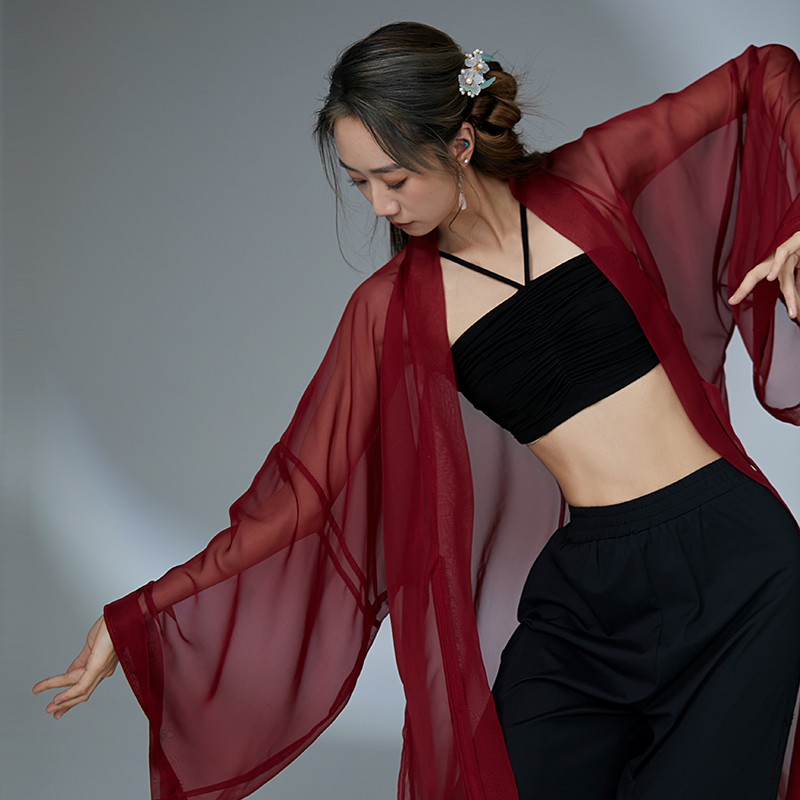 华丽独秀古典舞舞蹈服古风爵士套装飘逸显瘦吊带纱衣中国舞练功服