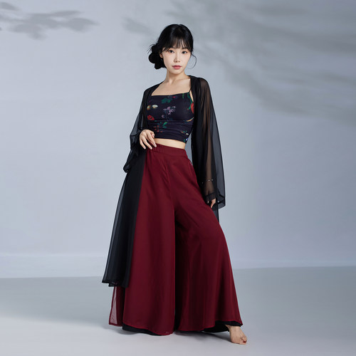 华丽独秀中国舞舞蹈服飘逸显瘦套装古风爵士练功服古典舞演出服女