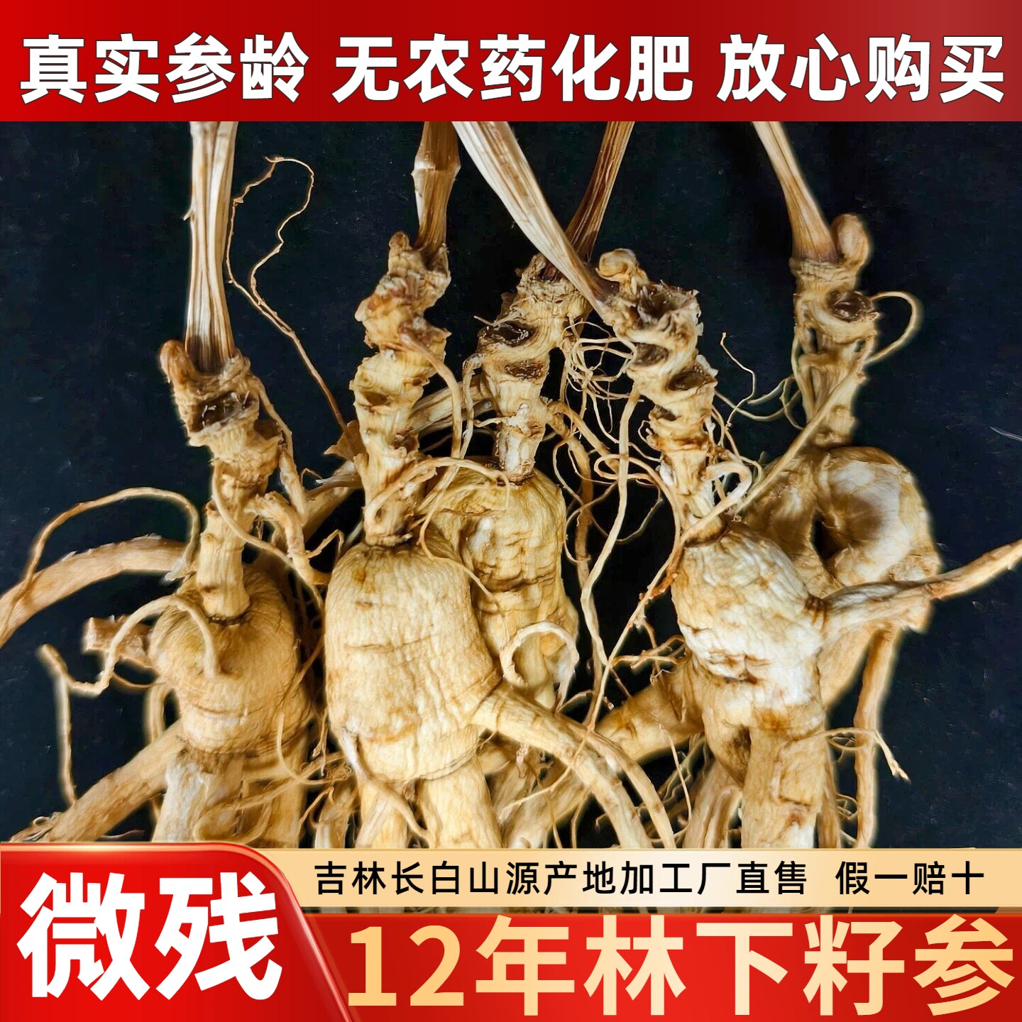 长白山12年微残林下籽参东北人参生晒老山参野山参自用超高性价比