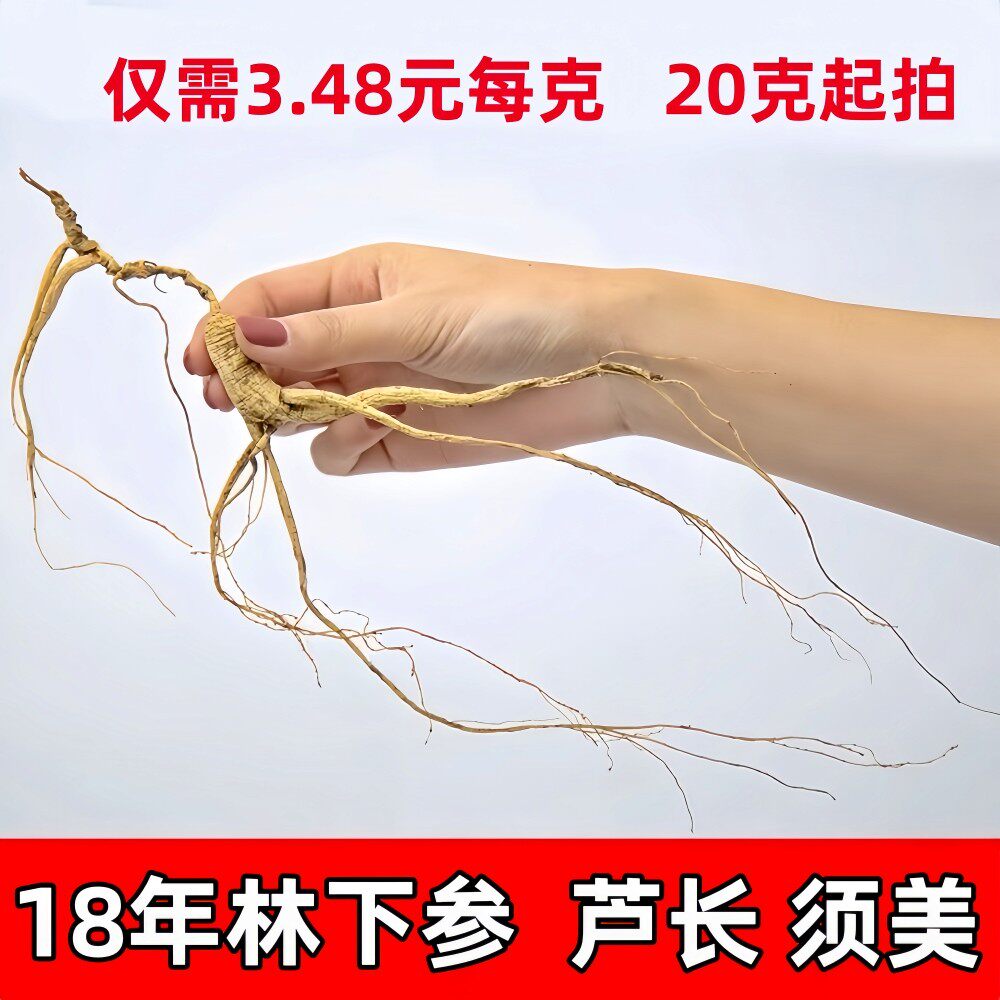 林下参长白山人参东北18年林下参泡酒老山参微残参农自产自销划算
