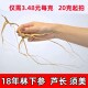 林下参长白山人参东北18年林下参泡酒老山参微残参农自产自销划算