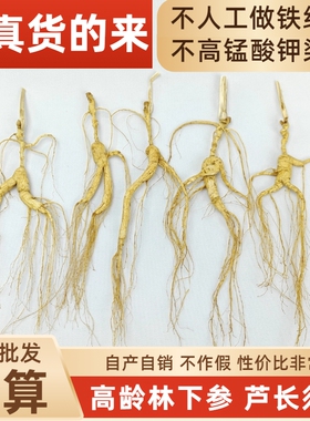 长白山参林下参野山参林下籽参微残煲汤泡酒山参加工厂源头一手货