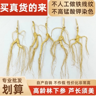 长白山参林下参野山参林下籽参微残煲汤泡酒山参加工厂源头一手货