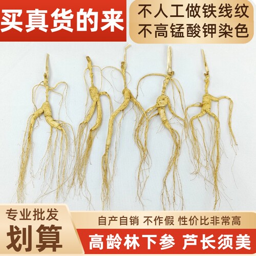 山参加工厂一手货批野山参林下参