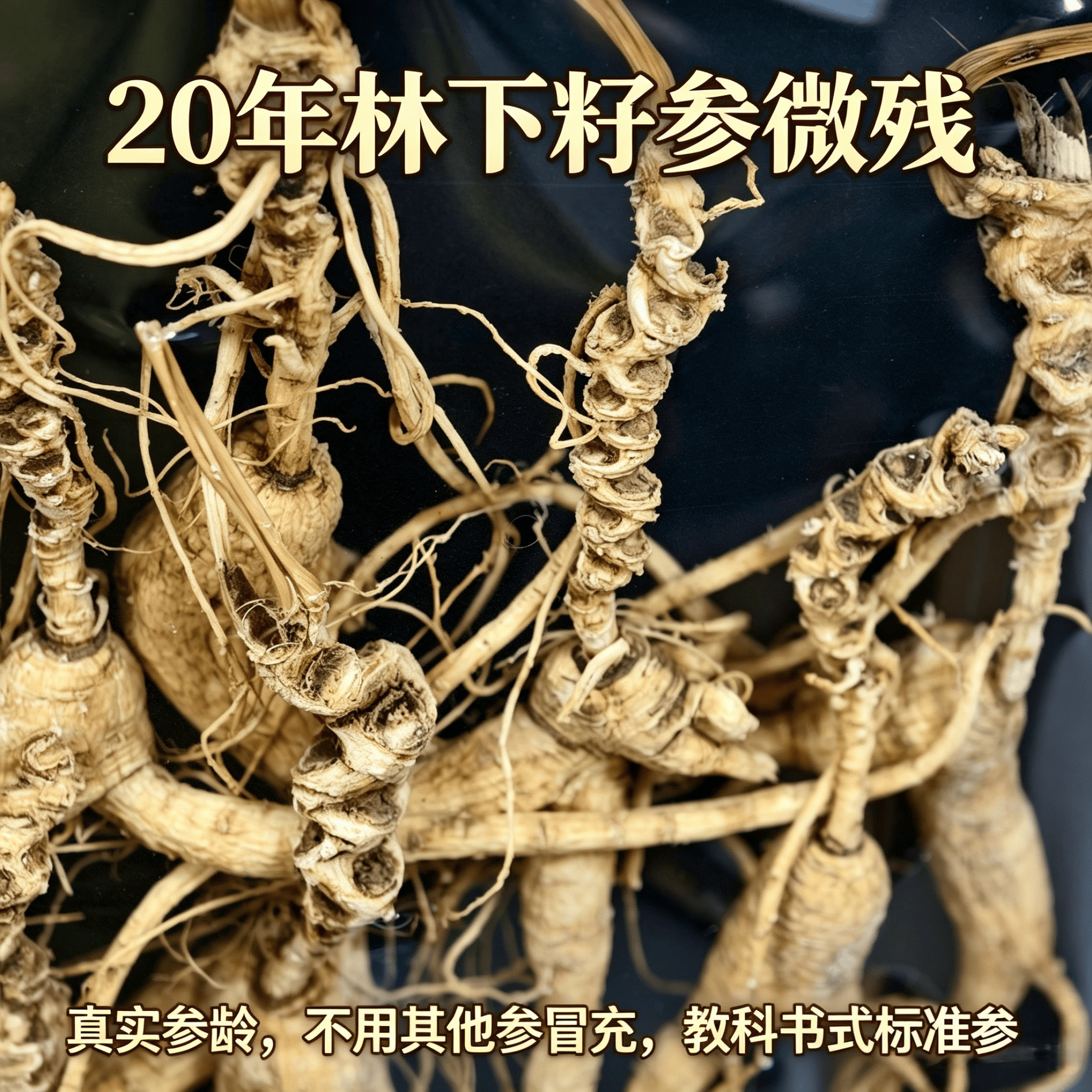 长白山20年林下籽参微残野山参东北人参生晒老山参自用超高性价比