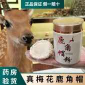 枫木农场梅花鹿角帽真品整个鹿茸托盘打粉整个鹿角帽发货鹿场直销
