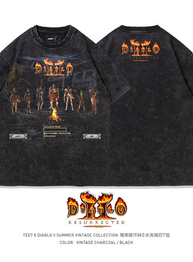 TEE7-暗黑2国服纪念水洗做旧纯棉暴雪经典diablo2短袖T恤
