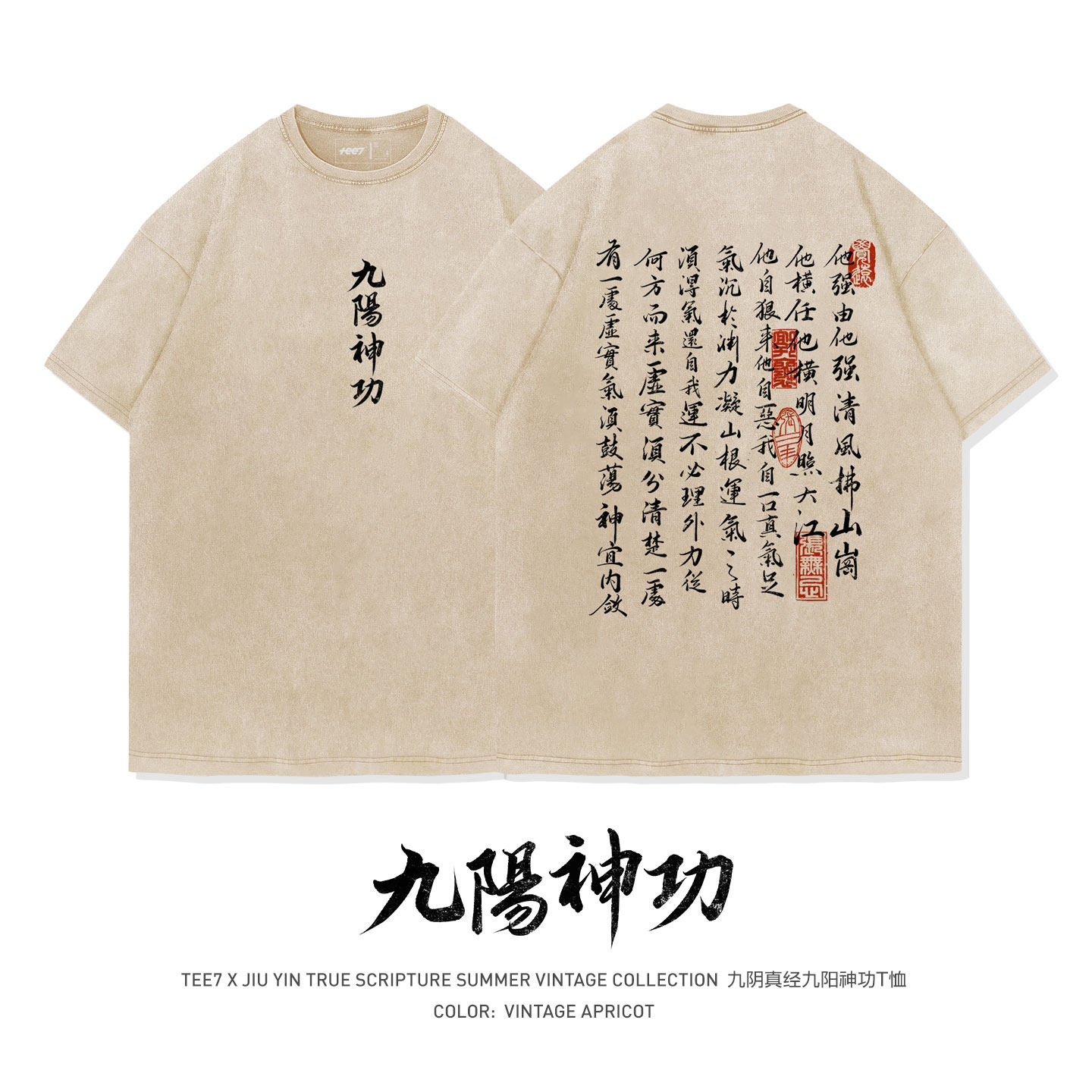 TEE7-金庸武侠九阴真经九阳神功心法水洗做旧国潮复古纯棉短袖T恤