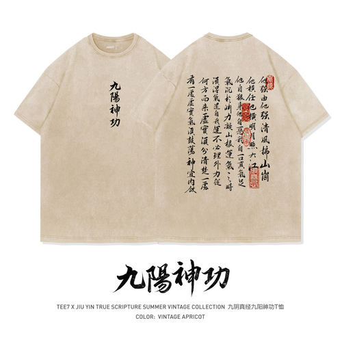 TEE7-金庸武侠九阴真经九阳神功心法水洗做旧国潮复古纯棉短袖T恤