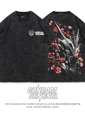 TEE7-日系动漫异端高达红色机T恤战争与玫瑰史诗限量水洗做旧纯棉