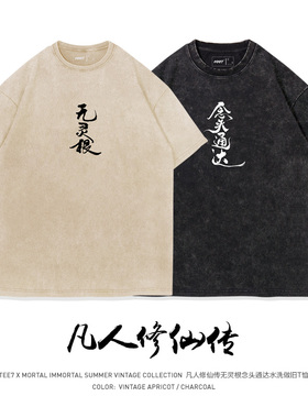 TEE7-国漫凡人修仙韩立厉飞雨无灵根幽默水洗做旧纯棉国潮短袖T恤