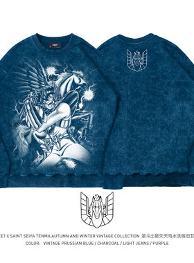 TEE7-圣斗士星矢天马座马年贺岁燃烧小宇宙做旧复古纯棉圆领卫衣