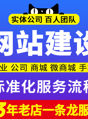 shopify网站建设制作外贸企业公司做独立站网页设计装修源码开发