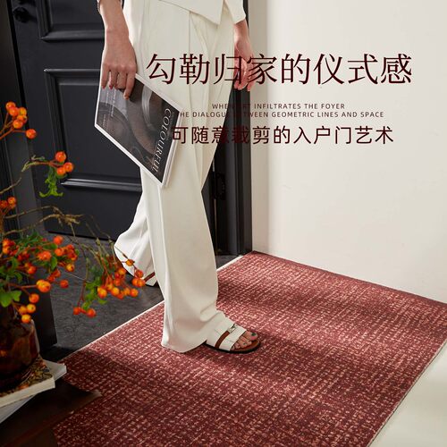 轻奢入户门地垫刮泥蹭土可裁剪丝圈pvc耐磨耐脏易打理防滑垫玄关