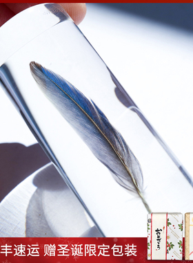 羽毛标本桌面树脂摆件