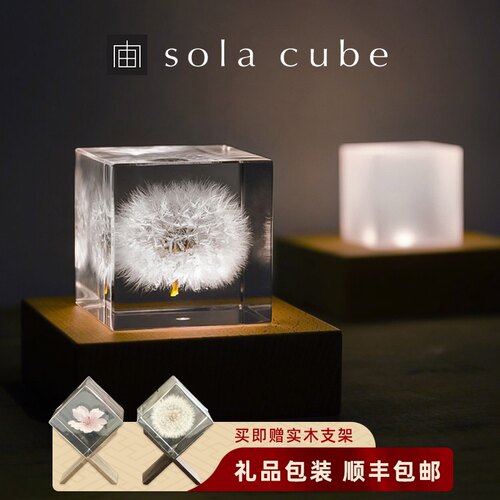 立方体桌面摆件七夕蒲公英标本