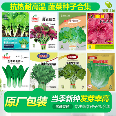 四季种植蔬菜种子春季易种品种