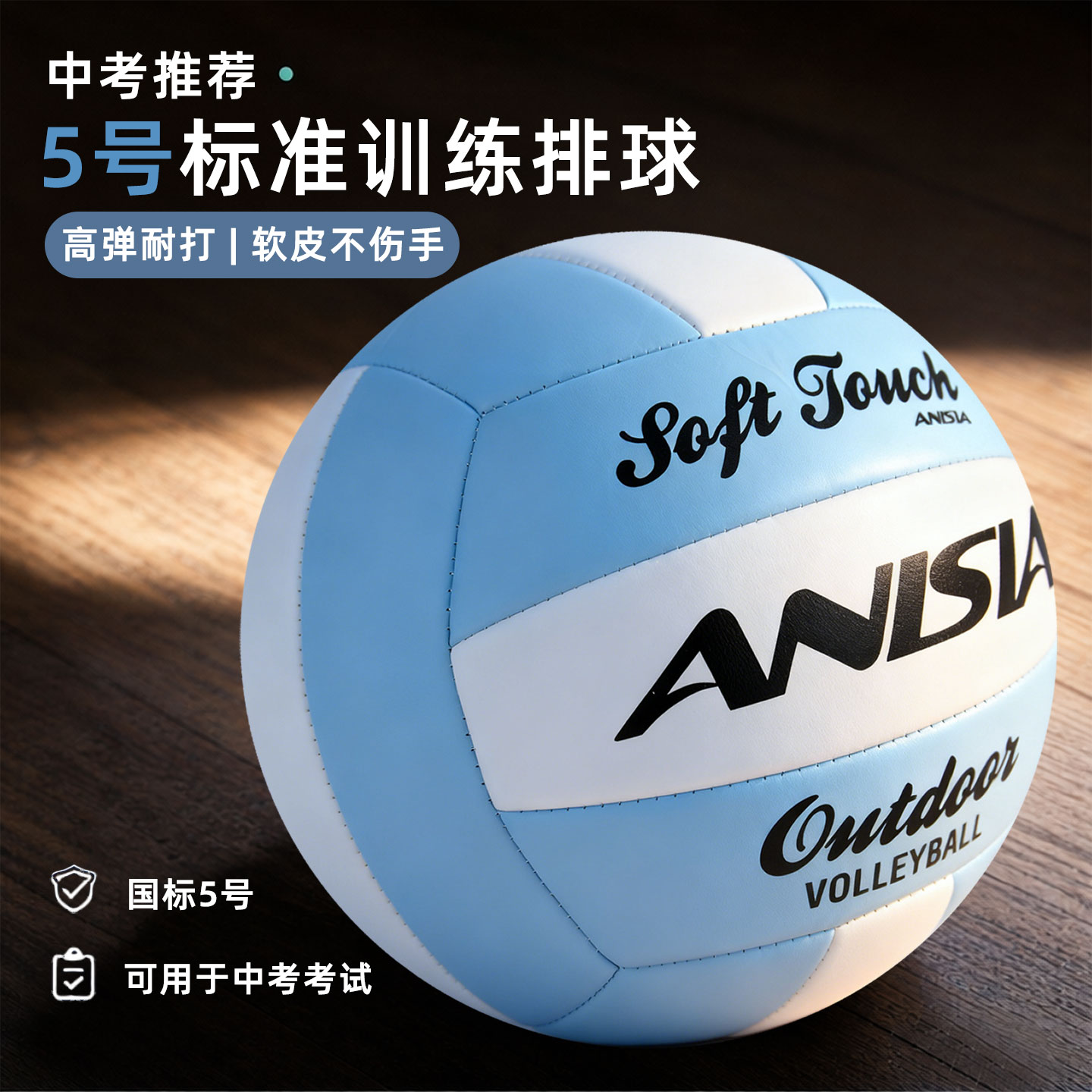 ANISIA 排球5号中考初中生体考 4号小学生儿童软皮车缝训练专用球