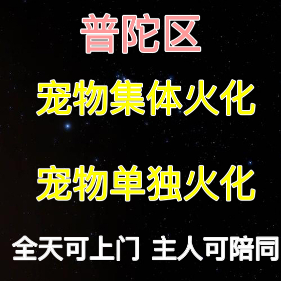 上海普陀宠物火化便民24小时上门服务动物无害化处理猫狗兔子善后