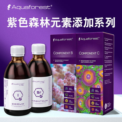 紫色森林海水珊瑚微量元素