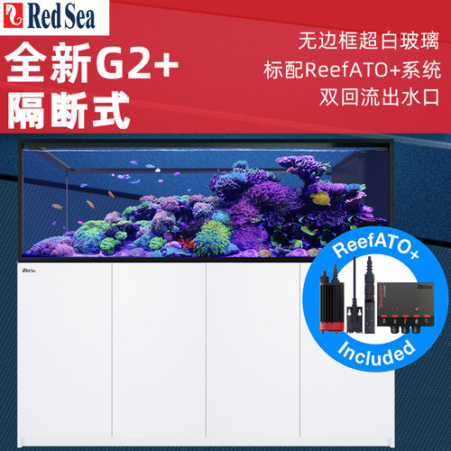 红海隔断式鱼缸珊瑚缸