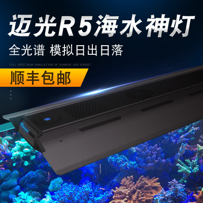 鱼缸珊瑚灯迈光MAXSPECT