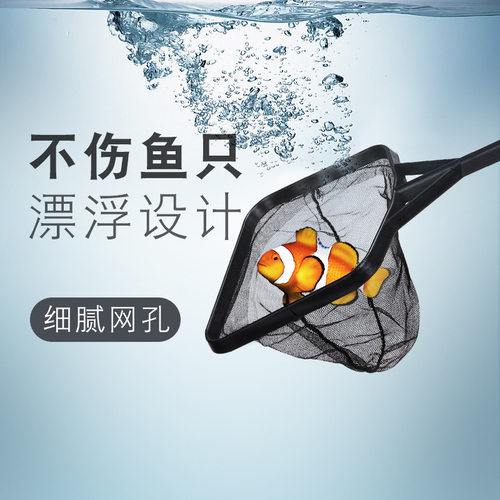 水族专用鱼捞网网孔细密不伤鱼